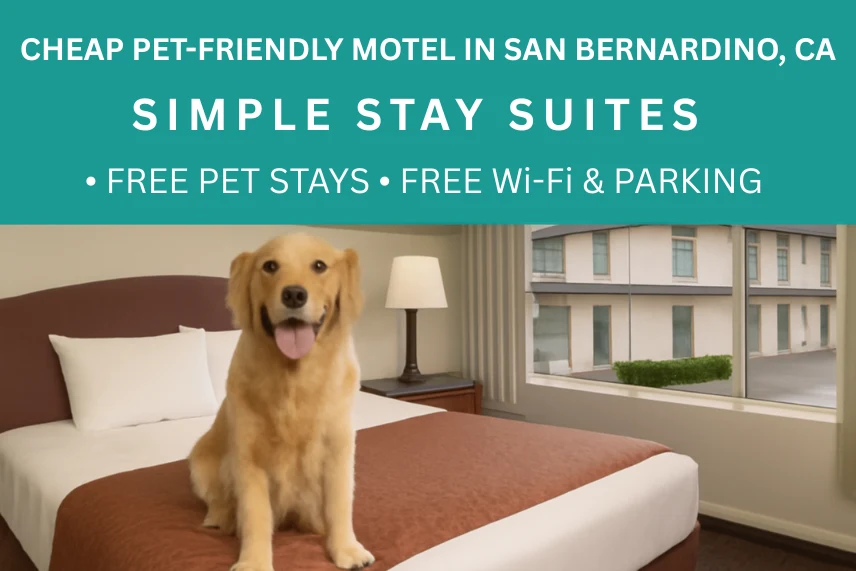 Affordable pet-friendly motel in San Bernardino, Simple Stay Suites provides comfortable lodging for guests with pets.